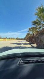 grx_22 — Cam4 stream photo (Feb 2026)