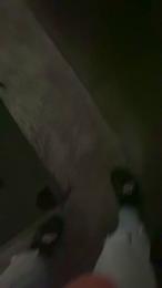 Blacktatto94 — Cam4 stream photo (Feb 2026)