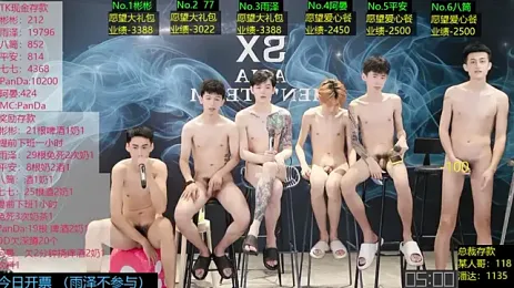 SX-001 — 在 stripchat 直播的网络摄像头模特