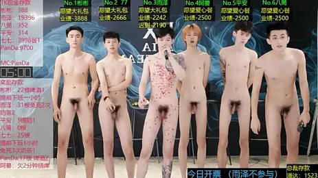 SX-001 — 在 stripchat 直播的网络摄像头模特