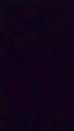 V1cent — Cam4 stream photo (Apr 2026)