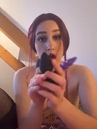 vanille13r — Stripchat stream photo (Feb 2026)
