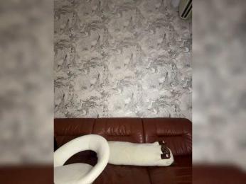 ---oTo-Toy--- — 在 bongacams 直播的网络摄像头模特