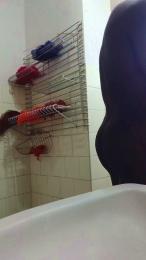 sexy3279 — 在 cam4 直播的网络摄像头模特