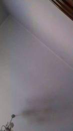 Polka9000 — Cam4 stream photo (Sep 2026)