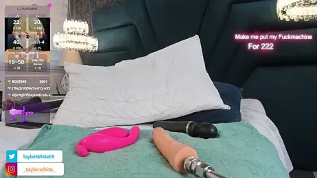 TaylerWhite — stripchat