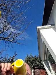 Demik71 — Stripchat stream photo (Mar 2026)