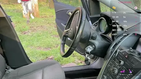 breizh22BB — 在 stripchat 直播的网络摄像头模特