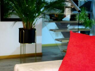 Lukhas — 在 flirt4free 直播的网络摄像头模特