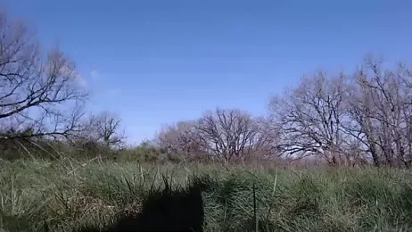 AdorahB3ll3 — Stripchat stream photo (Mar 2026)