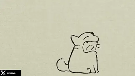 zoneboys — 在 stripchat 直播的网络摄像头模特