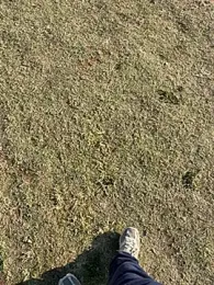 Sphe-2026 — 在 stripchat 直播的网络摄像头模特
