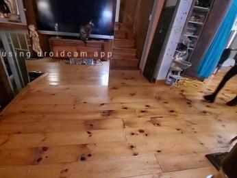 TNT-TinyNTroubble69 — Bongacams stream photo (Aug 2026)