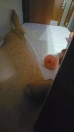 CallMeMasck — Cam4 stream photo (Jun 2026)