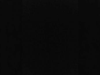 BielkA-4 — Bongacams stream photo (Apr 2026)