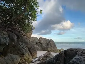 CasadoLutadorBigStuds — 在 stripchat 直播的网络摄像头模特