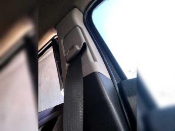 _AMBASSADOR_ — 在 bongacams 直播的网络摄像头模特