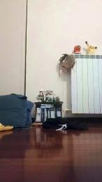 gabbus — 在 cam4 直播的网络摄像头模特