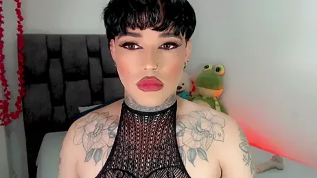 little_star_porn — Stripchat stream photo (Feb 2026)