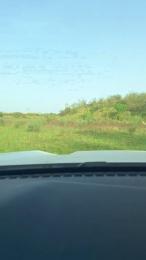 Gerontofilia — Cam4 stream photo (Apr 2026)