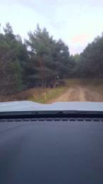 Gerontofilia — 在 cam4 直播的网络摄像头模特