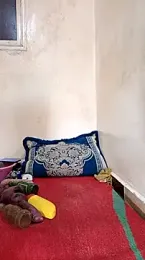 trans511 — Stripchat stream photo (Apr 2026)