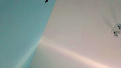 Morbohot — Cam4 stream photo (Sep 2026)