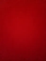 rogerlima2009 — Stripchat stream photo (Apr 2026)