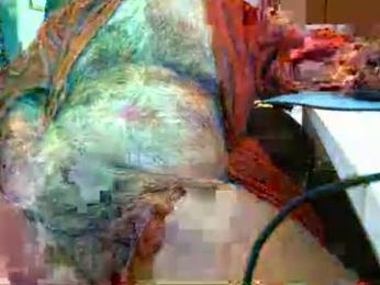 rocco1962 — Chaturbate stream photo (Mar 2026)