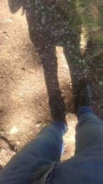 wolfi80 — 在 cam4 直播的网络摄像头模特