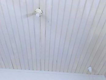 SharonTyga20 — Bongacams stream photo (Feb 2026)