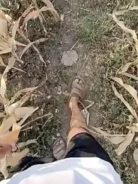 Forest_lover24 — Stripchat stream photo (Mar 2026)