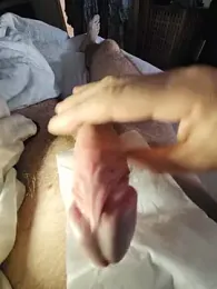 cum_daily1 — 在 stripchat 直播的网络摄像头模特