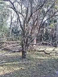 DrDickemDown88 — Stripchat stream photo (Mar 2026)