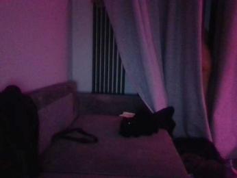 Shatensexy — Bongacams stream photo (Jun 2026)