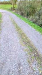 Legtiste — Cam4 stream photo (Apr 2026)