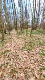 Legtiste — Cam4 stream photo (Apr 2026)