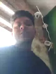 sailord — stripchat