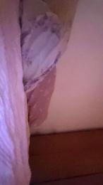 sableye22 — Cam4 stream photo (Mar 2026)