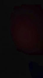 Giorgiarossihot — Cam4 stream photo (Oct 2026)