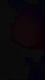 Giorgiarossihot — Cam4 stream photo (Oct 2026)