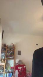 bostonblowjob — Cam4 stream photo (May 2026)