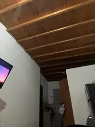 Eveeelyn25 — Stripchat stream photo (Jan 2026)