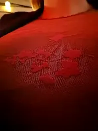 lady_charlyne — Stripchat stream photo (Apr 2026)