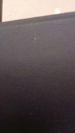 Paree21 — Cam4 stream photo (Apr 2026)