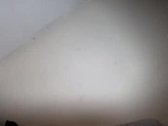 allanarey151 — Chaturbate stream photo (Jun 2026)