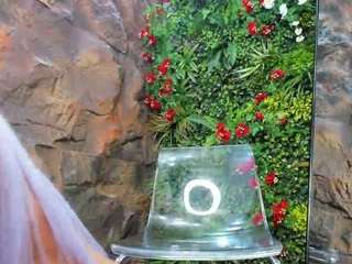 diamondjoxxx — Camsoda stream photo (Jul 2026)