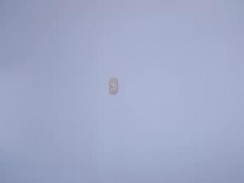 sexx_hunters — Chaturbate stream photo (Mar 2026)