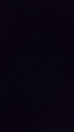 Nightfox98 — 在 cam4 直播的网络摄像头模特