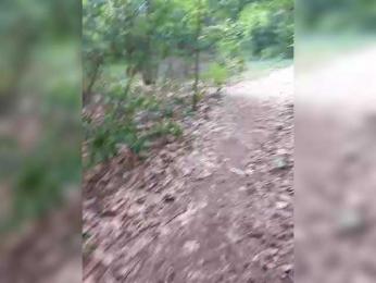 MoaningKitty23 — Bongacams stream photo (Jul 2025)